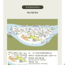 룰루네 식탁 | 남이섬 여행 : 시야쥬 캠핑 페스티벌 다녀온 후기