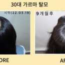 정환식품