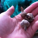 정례농장 이미지