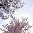 금산천길 이미지