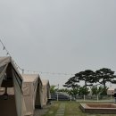 여우별 관광농원(캠핑장) | 화성 바베큐장 추천｜안석관광농원 바베큐존 솔직후기 (신생아 동반 가능)
