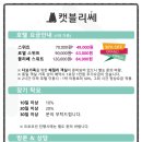 고양이호텔 캣블리쎄 이미지