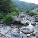 성림민박 이미지