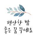 오늘닭발