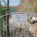 평택도곡초등학교병설유치원 이미지