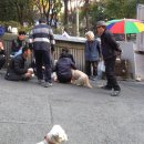 정재헌 이미지
