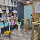 멍이살롱 이미지