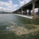 초록메디칼 이미지