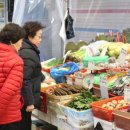 늘푸른야채 - 동작구 상도로 277-1 | 늘푸른야채