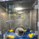 율하 다나동물병원 이미지