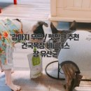 건국목장 이미지