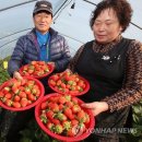 김현중농장 이미지