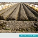 옥터농장 이미지