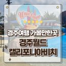 (주)일곡월드스파 | 경주여행 가볼만한곳 경주월드 캘리포니아비치 솔직한 방문후기 총정리