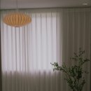 스테이 원평호 이미지