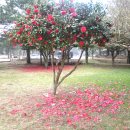 제주김녕한달 이미지