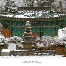 등명락가사 이미지