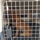 태창주유소 이미지