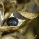 삼형제농장 이미지