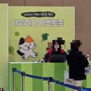 41190-01-07-401 | <고양이 박람회> 가낳지모 캣페어 2026 winter 코엑스 주차 대중교통 오픈런 후기