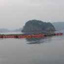 반도낚시 이미지