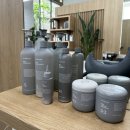 라피네 애견 스파 | 애견동반가능 양재역미용실 아윤채모발클리닉 살롱드라피네 박하부원장님