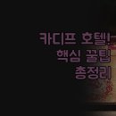 이지갤러리관광호텔 | 카디프 호텔 후기 | 가성비부터 럭셔리까지 | voco 포포인츠 이지호텔 | 솔직한 꿀팁 총정리