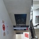 강남펜싱학원 스킬펜싱클럽 에너지 넘치는 펜싱강습 후기(직장인운동)