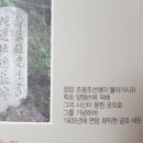정암 조광조 선생 유배지 이미지