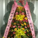 (주)대우에스티