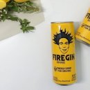 진에너지 이미지