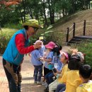 솔무공원 이미지