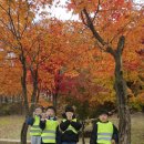 한숲산내음공원 이미지