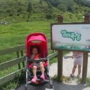 혜진목장 이미지