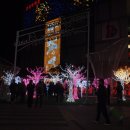 크리스마스 트리 축제 이미지