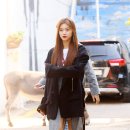 도연이네 티브이데일리