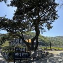 카누720애견풀빌라 | 경남 남해 애견 풀빌라 카누720 오션뷰 독일마을펜션