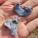 하나그린세탁 이미지