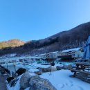 GR(정선군)-[지장천로]-하-8 | 강원도여행/겨울여행/정선 드위트리펜션후기/하이원스키장