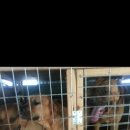 세실농장 이미지