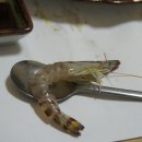 동경초밥 이미지