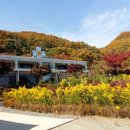 종자와 시인박물관 이미지