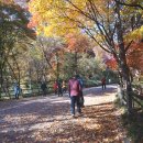 남산공원길1 이미지