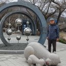 수안보족욕체험장 이미지