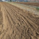 미도농장 이미지