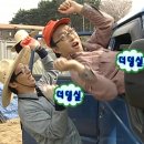 비타민업