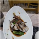 싱싱회타운 이미지