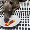 감동이네 수제간식 이미지