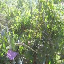 서리내농장 이미지