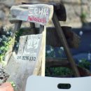 포도나무민박 이미지